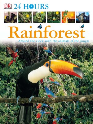 cover image of Rainforest